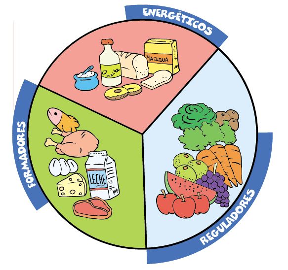 Grupos Básicos De Alimentos 1271