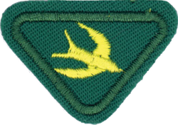 2 pajaritos