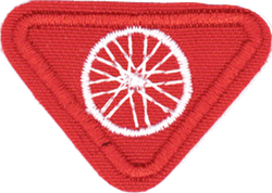 3 ciclista