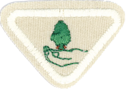 4 ecologo