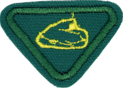 4 geologo