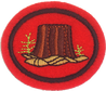 Silvicultura I