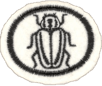 Insectos I